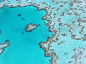 Explore Cairns and Beyond: Must-Visit Destinations in Tropical North Queensland