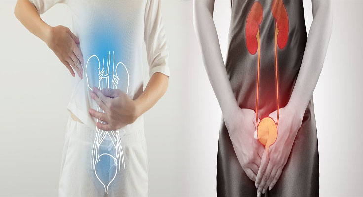 An In-Depth Guide To Bladder Pain