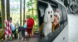 Exploring the Great Outdoors: Budget-Friendly Tips for Planning a Road Trip Across the United States with Pets