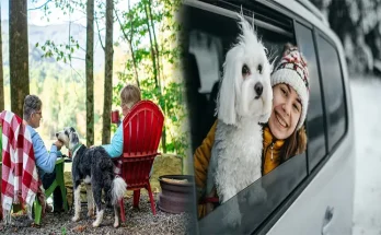 Exploring the Great Outdoors: Budget-Friendly Tips for Planning a Road Trip Across the United States with Pets
