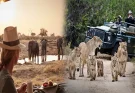 Unlocking the Ultimate Luxury Experience: The Benefits of Using a Travel Advisor for a Luxury African Safari Vacation