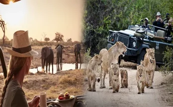 Unlocking the Ultimate Luxury Experience: The Benefits of Using a Travel Advisor for a Luxury African Safari Vacation