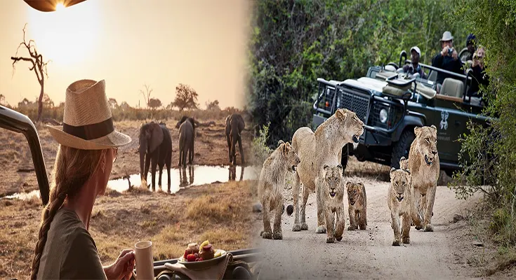 Unlocking the Ultimate Luxury Experience: The Benefits of Using a Travel Advisor for a Luxury African Safari Vacation