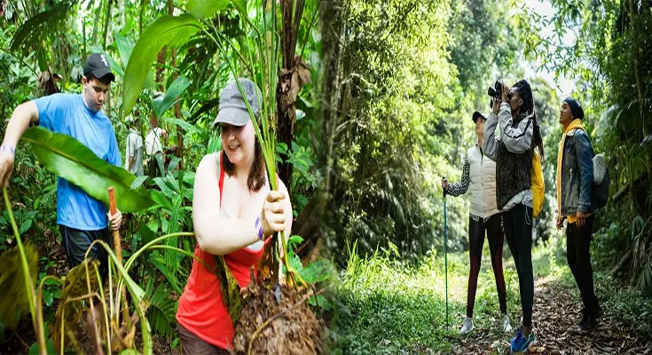 Where to Find a Sustainable Travel Advisor for Eco-Friendly Experiences in Costa Rica